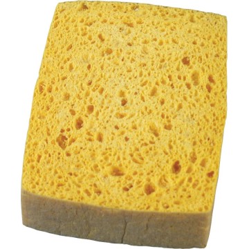 Schwämme Spungo