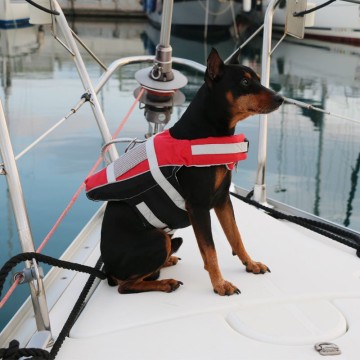 Rettungsweste für Hunde Lalizas