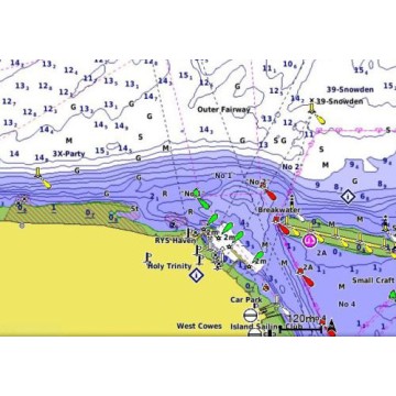 Carte Garmin SD Lacs Suisses Blue Chart G3