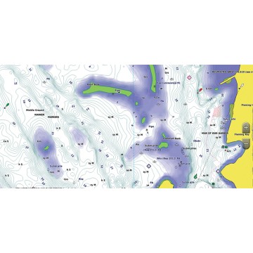 Carte Garmin SD Lacs Suisses Blue Chart G3