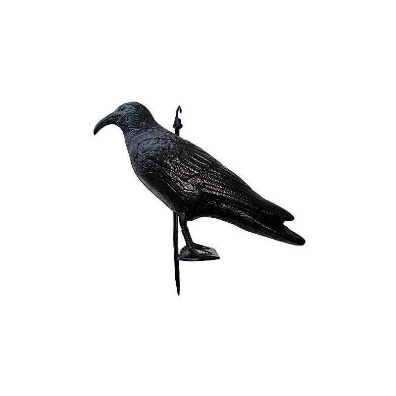 Corbeau en plastique épouvantail contre mouettes et pigeons Navyline 