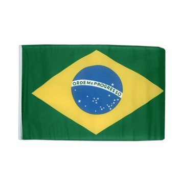 Brasilien Flagge 30x40