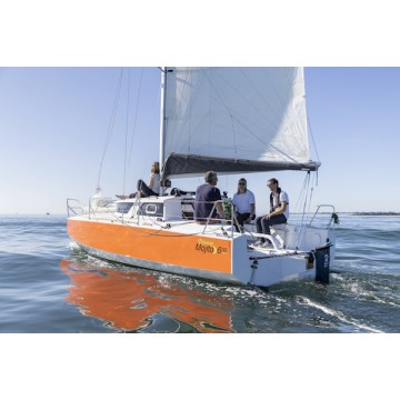 TEMO·1000 Elektromotor