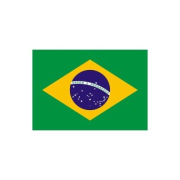 Brasilien Flagge 30x40