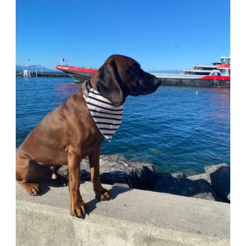 Toutoubandana Saint James