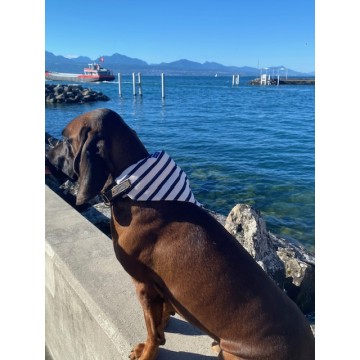 Toutoubandana Saint James