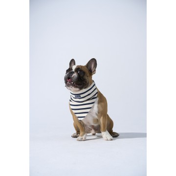 Toutoubandana Saint James