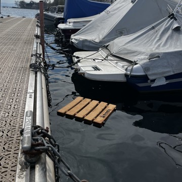 Nistschutz: Nistplattform Birds&Co. Léman 1