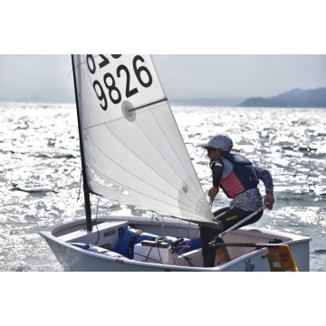Optimist-Segel CD DRS Semiradial 3845 kg CD Sails