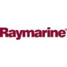 Raymarine