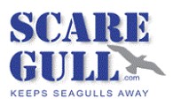 Scare Gull