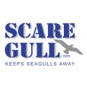 Scare Gull